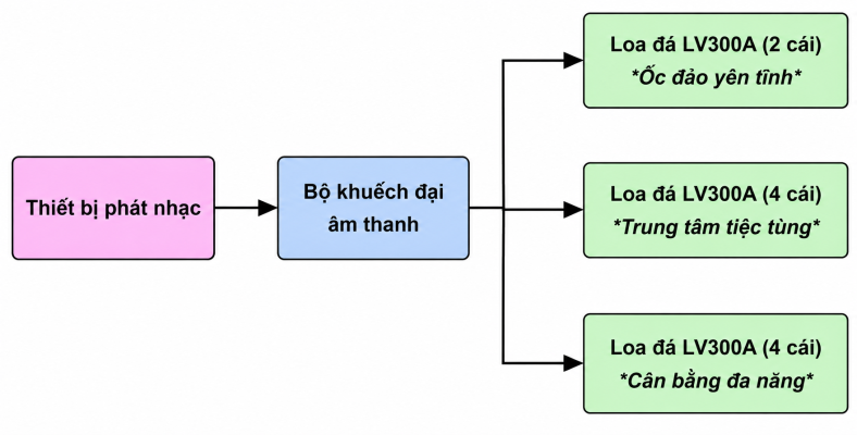 Cấu hình sân sau mẫu